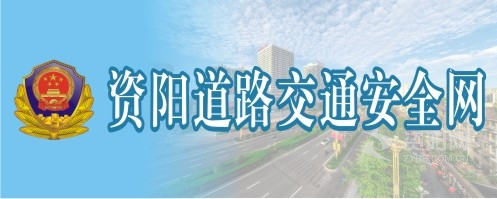 干外国女人大肥穴资阳道路交通安全网